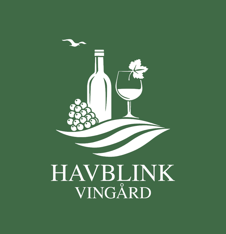 havblink logo